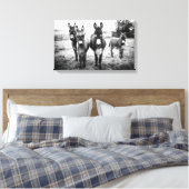 Donkeys in a Field Canvas Afdruk (Insitu (Slaapkamer))