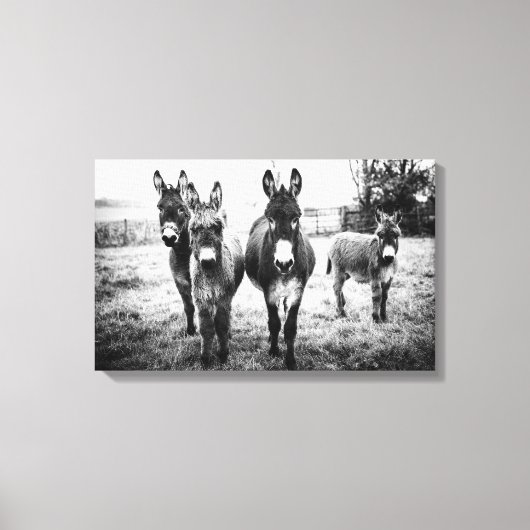 Donkeys in a Field Canvas Afdruk (Voorkant)