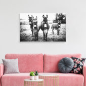 Donkeys in a Field Canvas Afdruk (Insitu (Woonkamer))