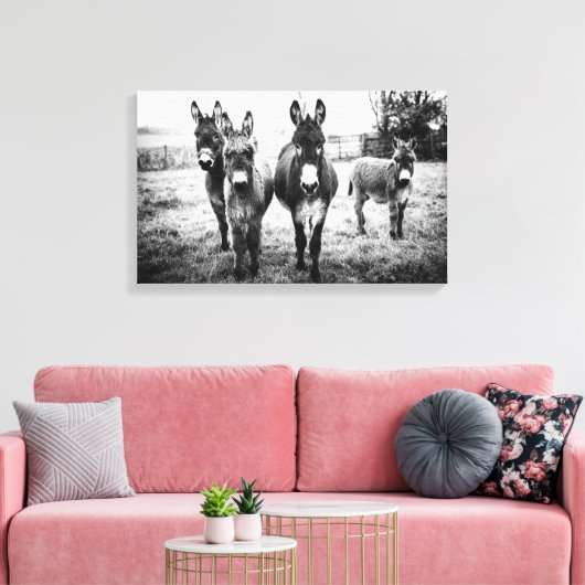 Donkeys in a Field Canvas Afdruk (Insitu (Woonkamer))
