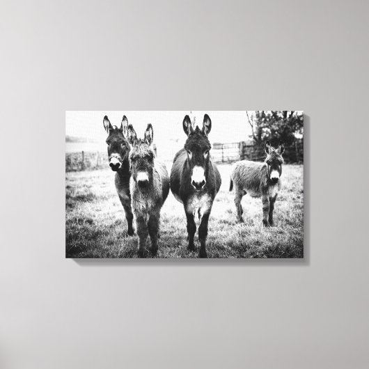 Donkeys in a Field Canvas Afdruk (Voorkant)