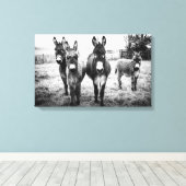Donkeys in a Field Canvas Afdruk (Insitu (Houten vloer))