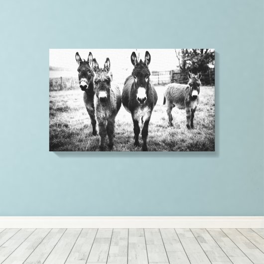 Donkeys in a Field Canvas Afdruk (Insitu (Houten vloer))