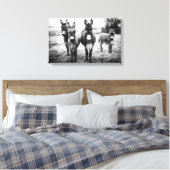 Donkeys in a Field Canvas Afdruk (Insitu (Slaapkamer))