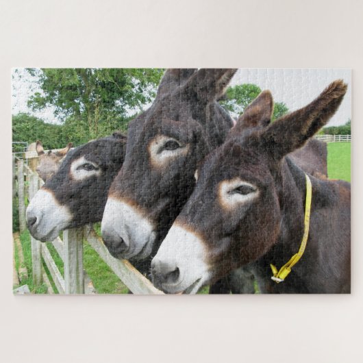 Donkeys Jigsaw Puzzle Legpuzzel (Horizontaal)