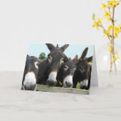 Donkeys Kaart (Gele Bloem)