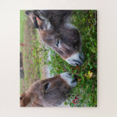 Donkeys, kids, 56 pieces, legpuzzel (Verticaal)