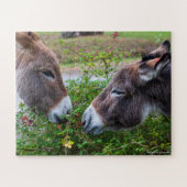 Donkeys, kids, 56 pieces, legpuzzel (Horizontaal)