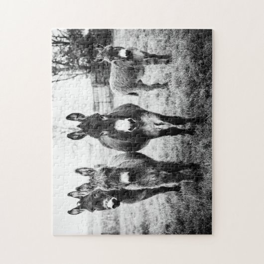 Donkeys Legpuzzel (Verticaal)