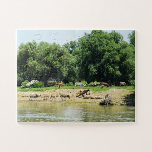Donkeys Legpuzzel (Horizontaal)