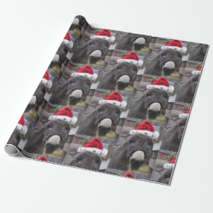 "Donkeys maken geweldige Santas!" Cadeaupapier
