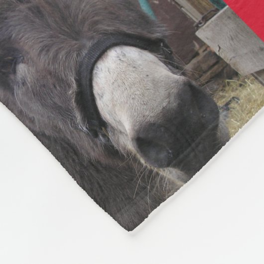 "Donkeys maken geweldige Santas!" Fleece Deken (Hoek)