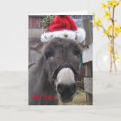 "Donkeys maken geweldige Santas!" Kaart (Gele Bloem)