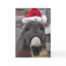 "Donkeys maken geweldige Santas!"