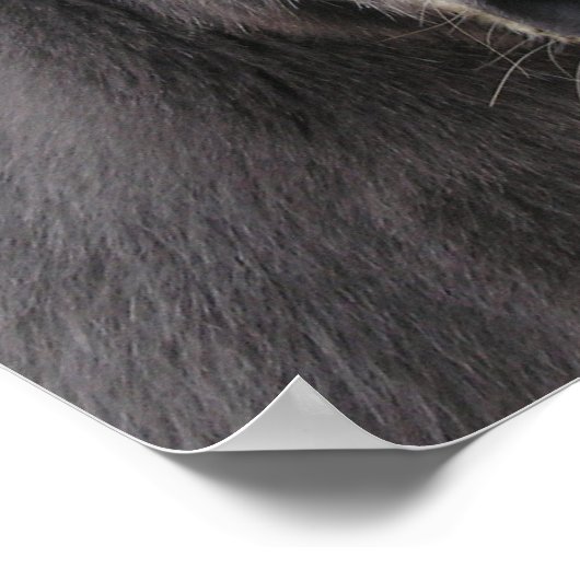 "Donkeys maken geweldige Santas!" Poster (Hoek)