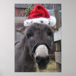 "Donkeys maken geweldige Santas!" Poster