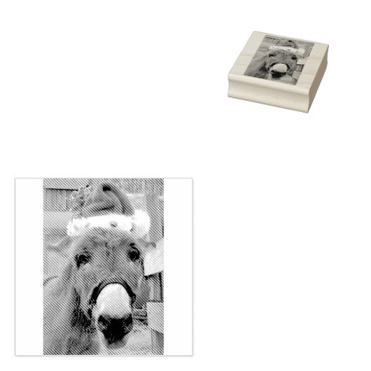 "Donkeys maken geweldige Santas!" Rubberstempel (Gestempeld)