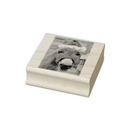 "Donkeys maken geweldige Santas!" Rubberstempel