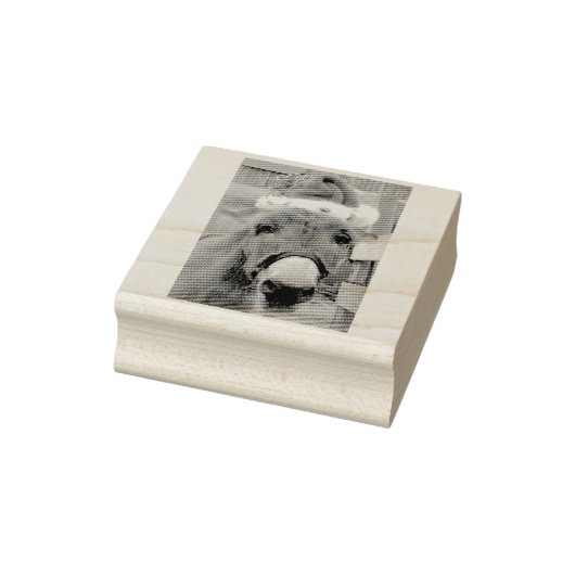 "Donkeys maken geweldige Santas!" Rubberstempel (Stempel)