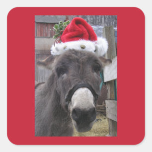 Donkeys maken geweldige Santas!" Vierkante Sticker