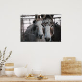 Donkeys Poster (Keuken)