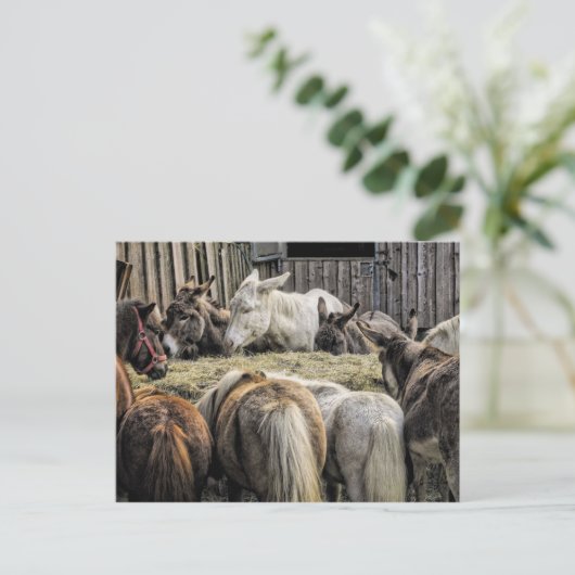 Donkey's van de rondetafelconferentie briefkaart (Staand voorkant)