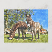 Donkeys Waterverf-stijl Briefkaart (Voorkant)