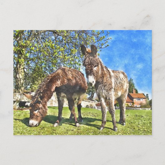 Donkeys Waterverf-stijl Briefkaart (Voorkant)