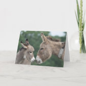 Donkey's years/ears card kaart (Achterkant)