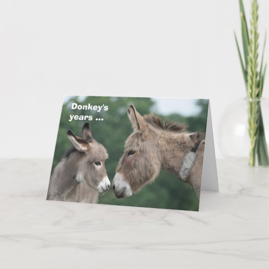 Donkey's years/ears card kaart (Voorkant)