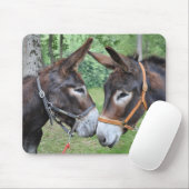 Donkeyvrienden Muismat (Met muis)