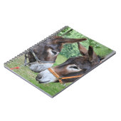 Donkeyvrienden Notitieboek (Linkerzijde)