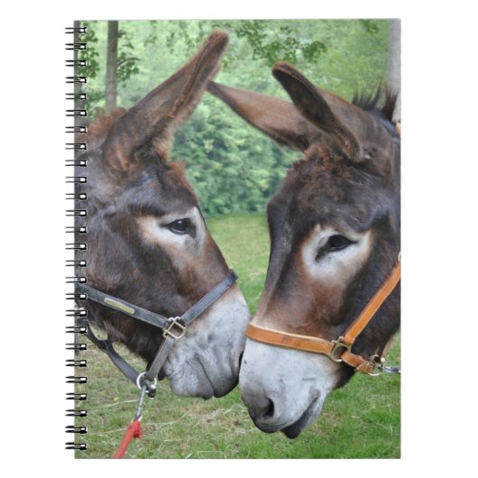 Donkeyvrienden Notitieboek (Voorkant)