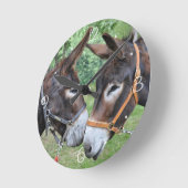 Donkeyvrienden Ronde Klok (Hoek)