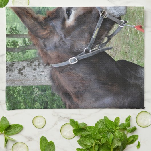 Donkeyvrienden Theedoek (Gevouwen)