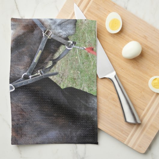 Donkeyvrienden Theedoek (Quarter Fold)