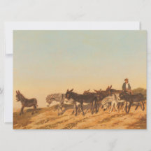 Donkoenen in het zuiden van Frankrijk (door Eugène