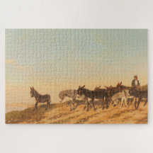 Donkoenen in het zuiden van Frankrijk (door Eugène