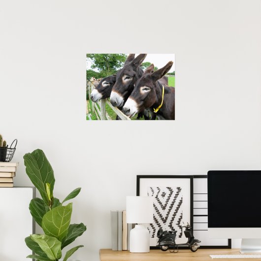 Donkoenen! Poster (Thuiskantoor)