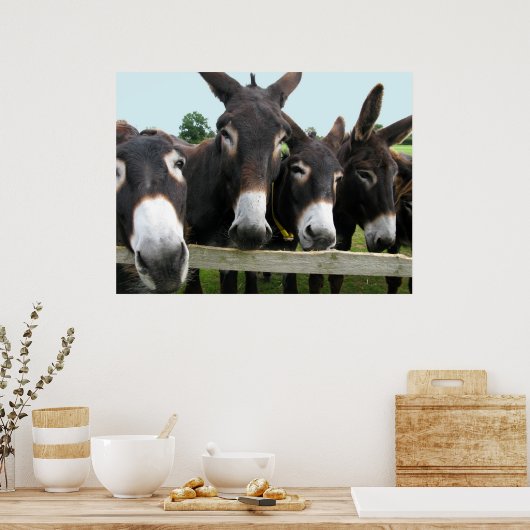 Donkoenen! Poster (Keuken)