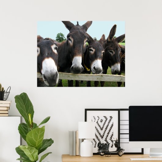 Donkoenen! Poster (Thuiskantoor)