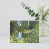 Donner Memorial State Park, Truckee, CA Briefkaart (Staand voorkant)