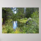 Donner Memorial State Park, Truckee, CA Poster (Voorkant)