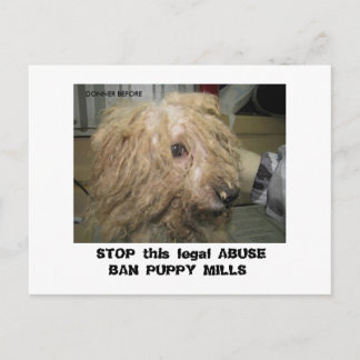 DonnerBichon12-10-08 (42), STOP deze wettelijke AB Briefkaart