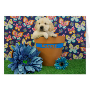 Donnie, foto van week 5