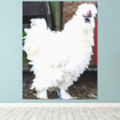Dons witte kip buiten canvas afdruk (Insitu (Houten vloer))