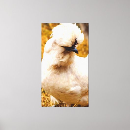 Dons witte kip in veld canvas afdruk (Voorkant)