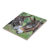 Donsleutels die de neus aanraken tegeltje (Zijkant)