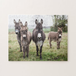 Donsleutels op een Misty Winter Morning Legpuzzel