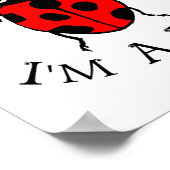 Dont Bug Me Im A Lady  Poster (Hoek)